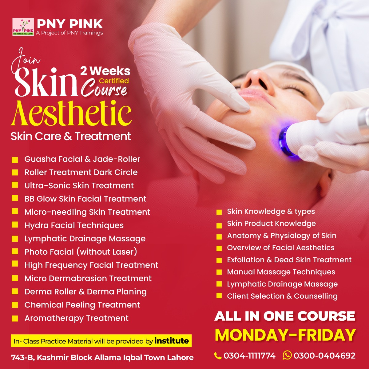 Professional Skin Aesthetics Course